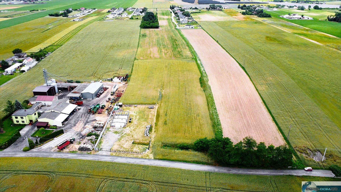 Działka budowlana na sprzedaż Grodzisk Wielkopolski  718m2 Foto 8