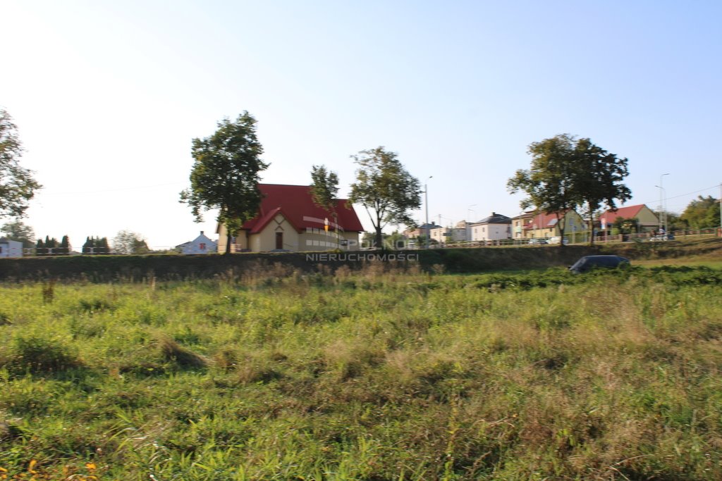 Działka inna na sprzedaż Rzuchów  6 000m2 Foto 8