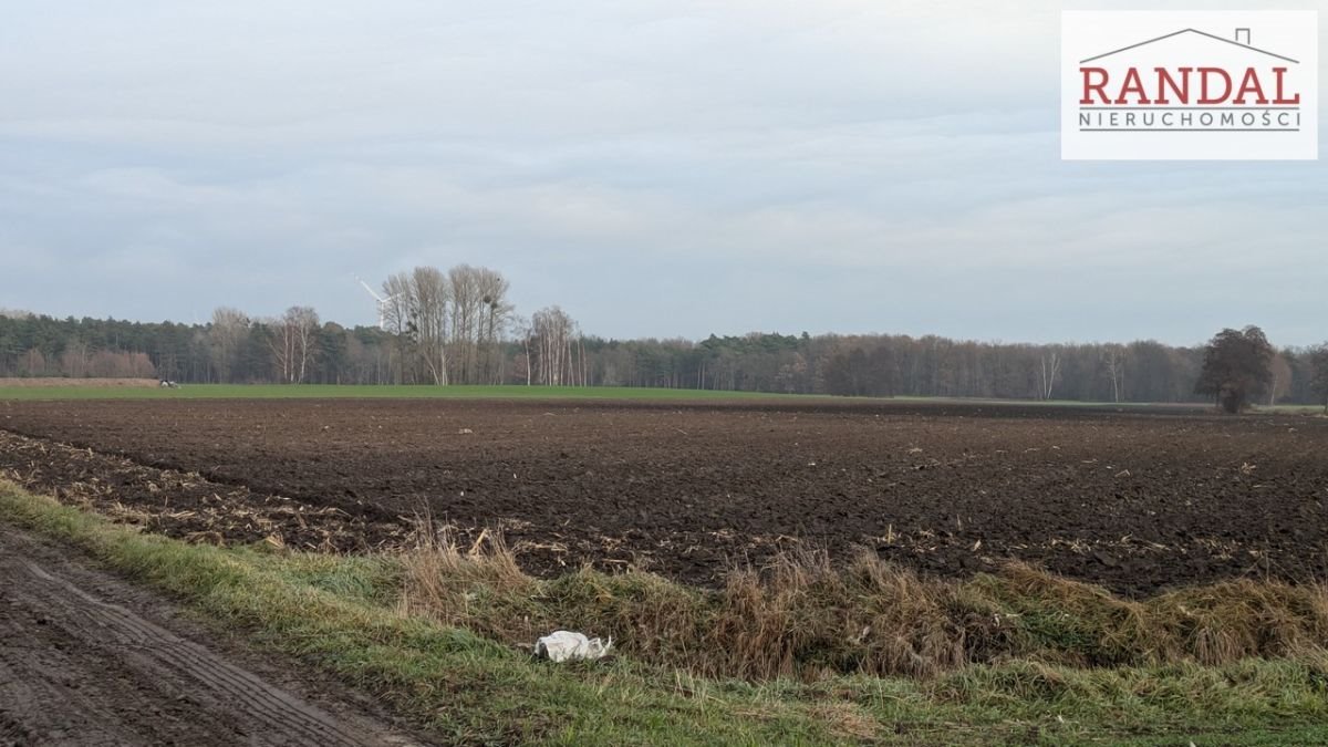 Działka budowlana na sprzedaż Dębiczek, Dębiczek  1 003m2 Foto 2