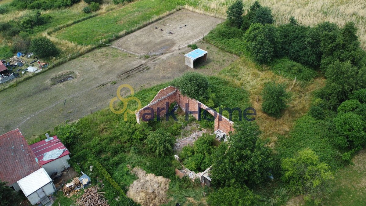 Działka budowlana na sprzedaż Dębno  3 000m2 Foto 3