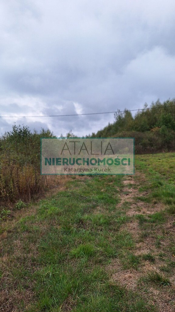 Duża działka rekreacyjna z podziałem na 20 działek - polecam! Bieganów  37 900m2 Foto 1