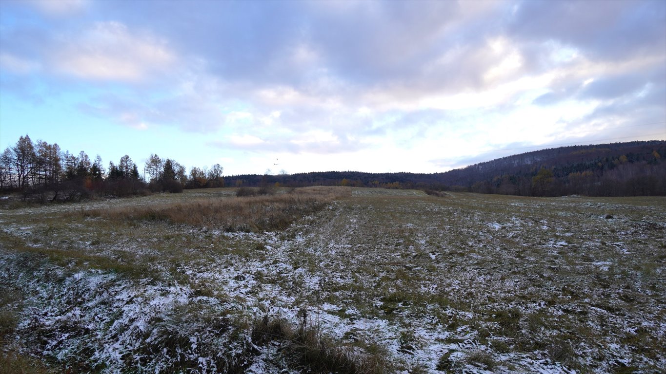 Działka rolna na sprzedaż Wapienne  9 700m2 Foto 3