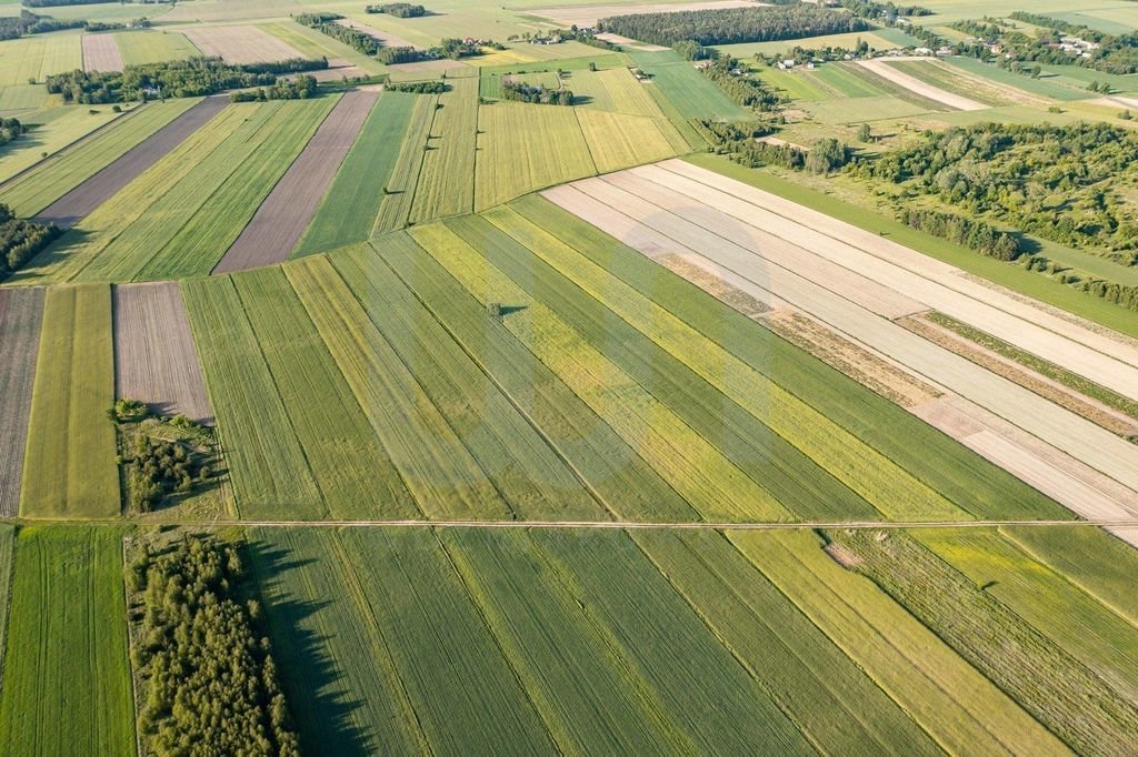 Działka rolna na sprzedaż Błogosławie  10 300m2 Foto 8