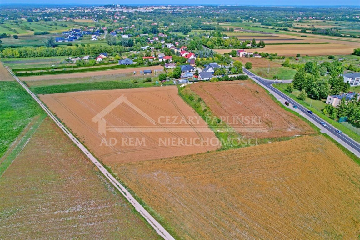 Zdjęcie 4