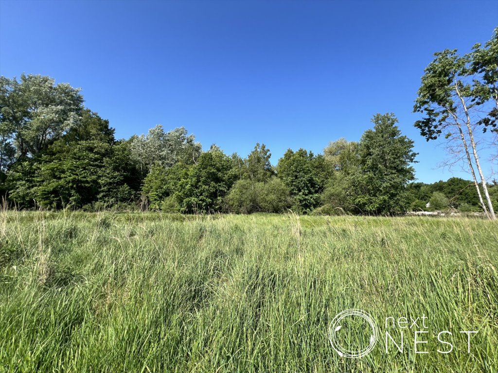 Działka budowlana na sprzedaż Chojnów, Partyzantów  1 834m2 Foto 5