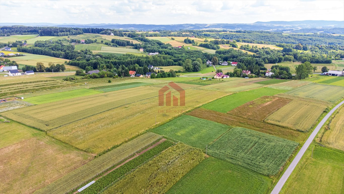 Działka budowlana na sprzedaż Broniszów  3 100m2 Foto 12