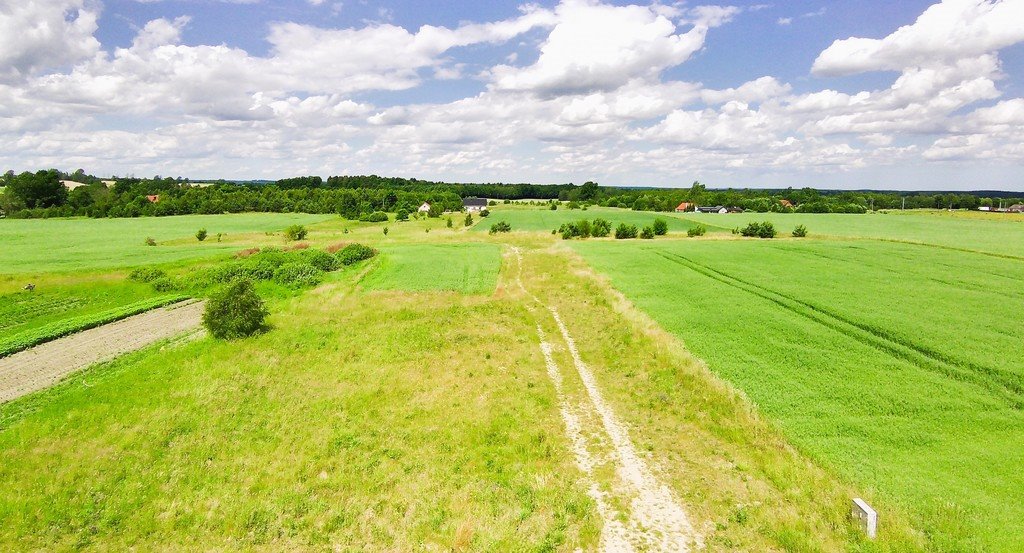 Działka budowlana na sprzedaż Borcz, Spokojna  1 292m2 Foto 13