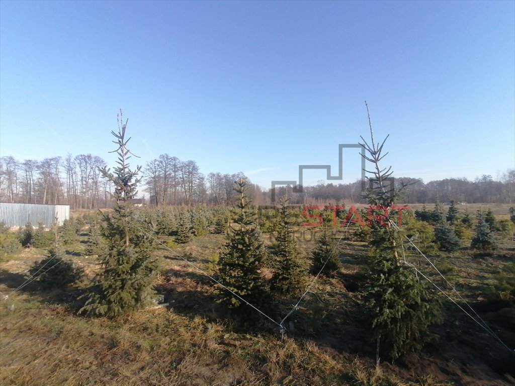 Działka siedliskowa na sprzedaż Grądy  3 000m2 Foto 6