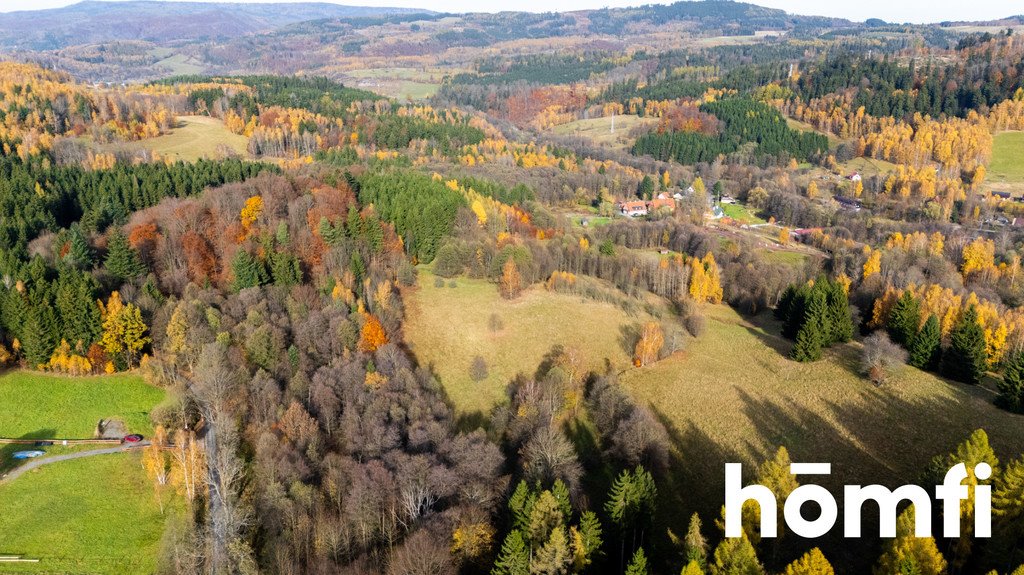 Sprzedam działki rekreacyjne w Kociole od 2065 m² z mediami Kocioł  3 728m2 Foto 1
