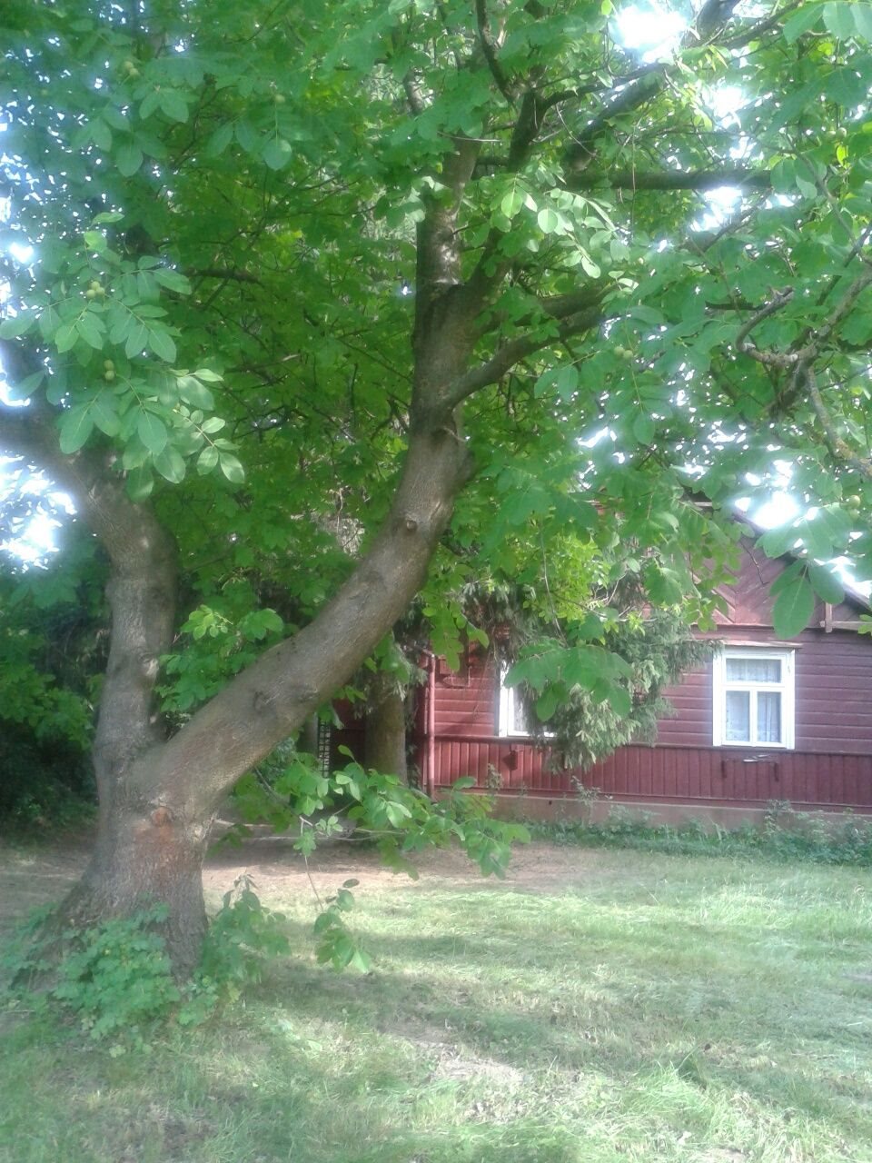 Dom na sprzedaż Korczew, Siedlecka 96m2 Foto 1 Dom na sprzedaż Korczew, Siedlecka 96m2 Foto 1