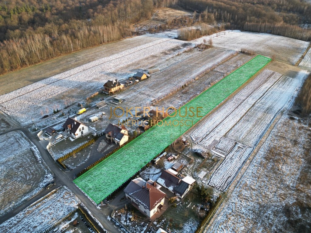 Działka rolna na sprzedaż Borek Stary  5 500m2 Foto 2