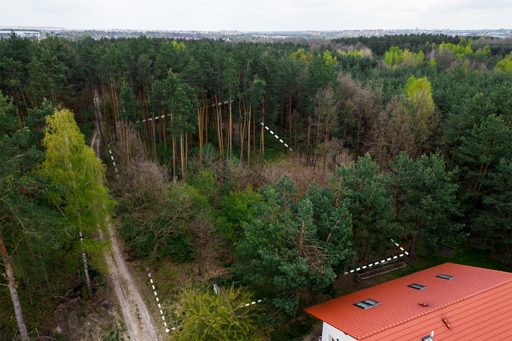 Działka leśna na sprzedaż Radom, Koszykowa  3 200m2 Foto 8