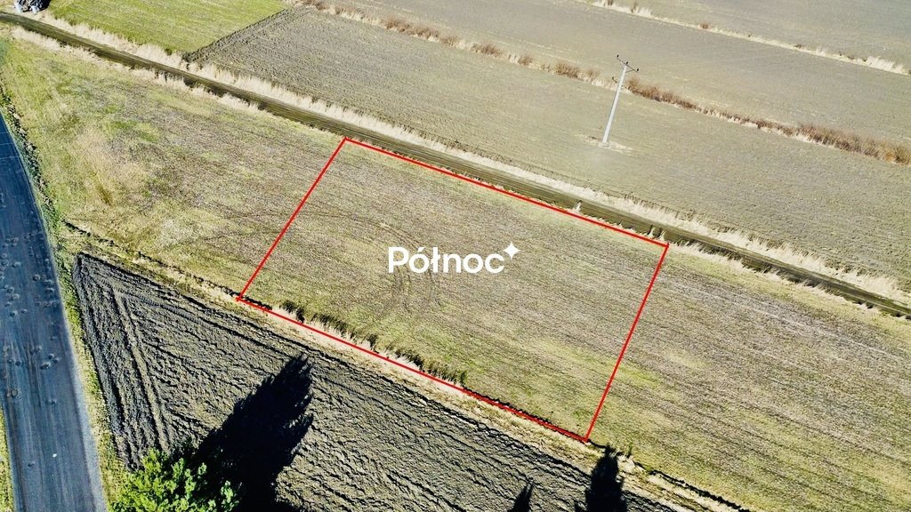Zdjęcie 8