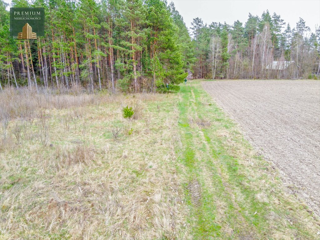 Działka siedliskowa na sprzedaż Koźliki  3 000m2 Foto 8