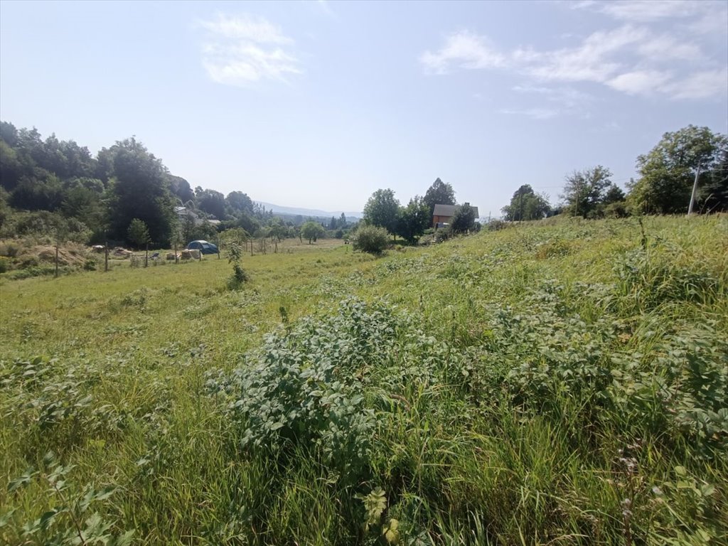 Działka 1224 m2 z widokiem na Karkonosze i MPZP Dziwiszów  1 224m2 Foto 1