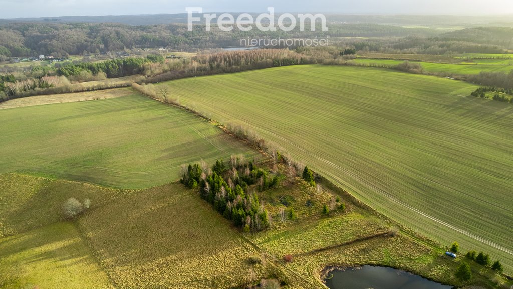 Działka budowlana na sprzedaż Klonowo Górne, Świerkowa  3 987m2 Foto 5