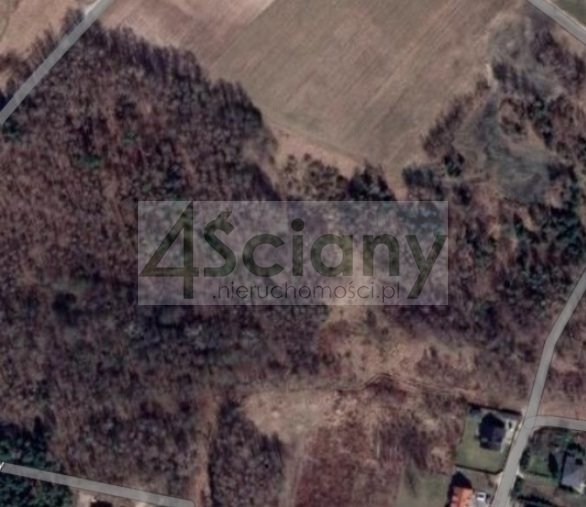 Działka leśna z prawem budowy na sprzedaż Wycinki Osowskie  9 031m2 Foto 1