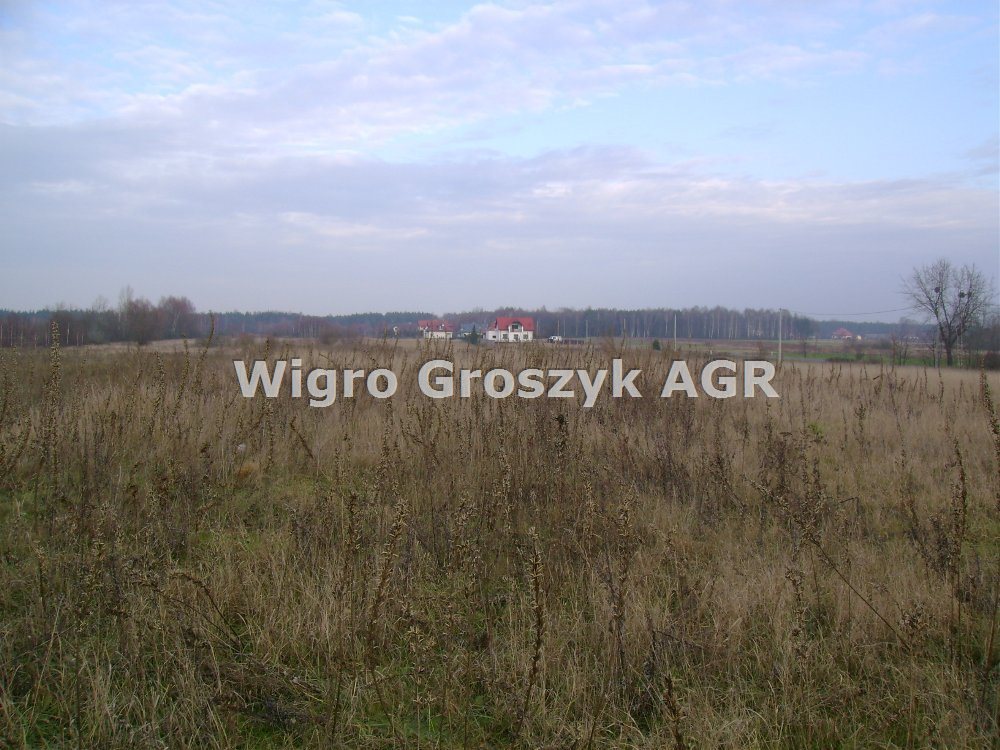 Działka rolna na sprzedaż Borzęcin Duży  2 000m2 Foto 3