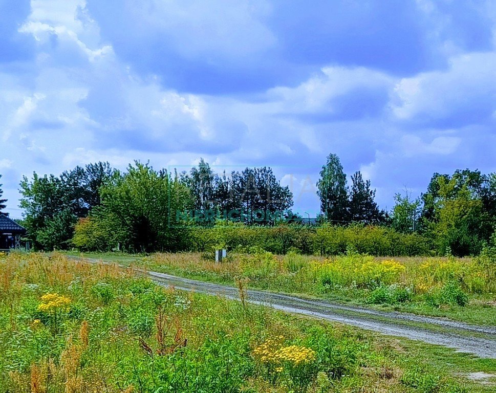 Działka budowlana na sprzedaż Ojrzanów  2 000m2 Foto 2