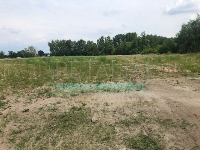 Działka budowlana na sprzedaż Książenice  9 000m2 Foto 3