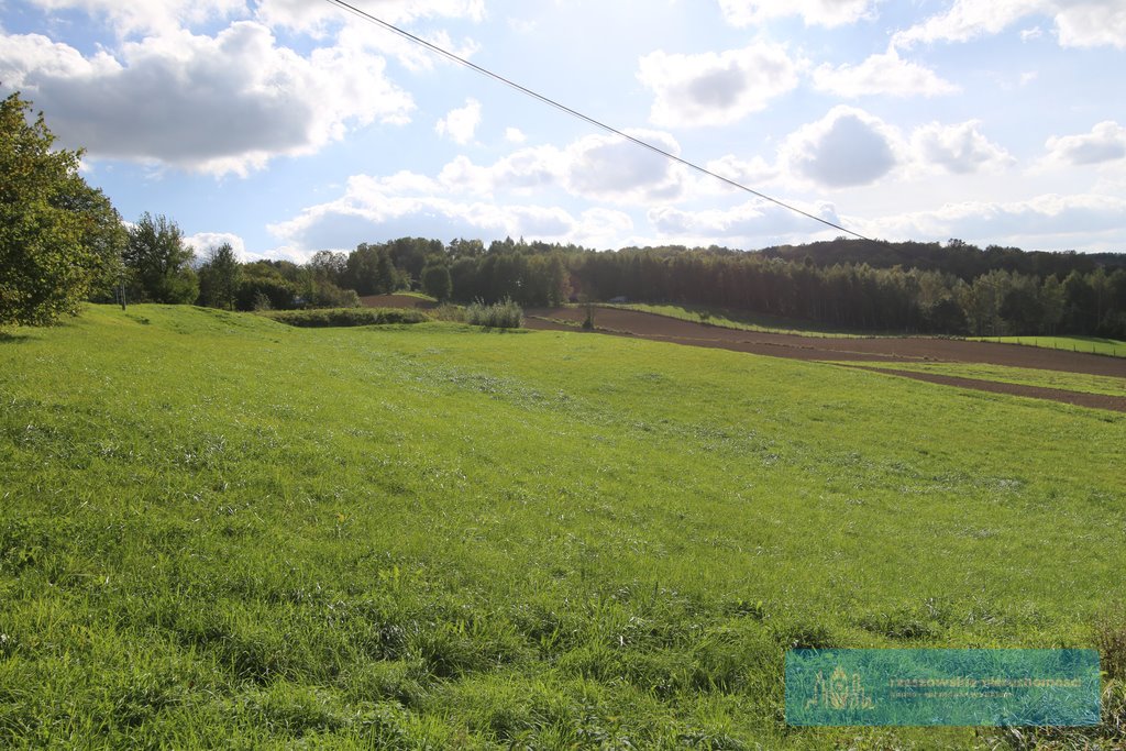 Działka budowlana na sprzedaż Rzeszów  2 800m2 Foto 4