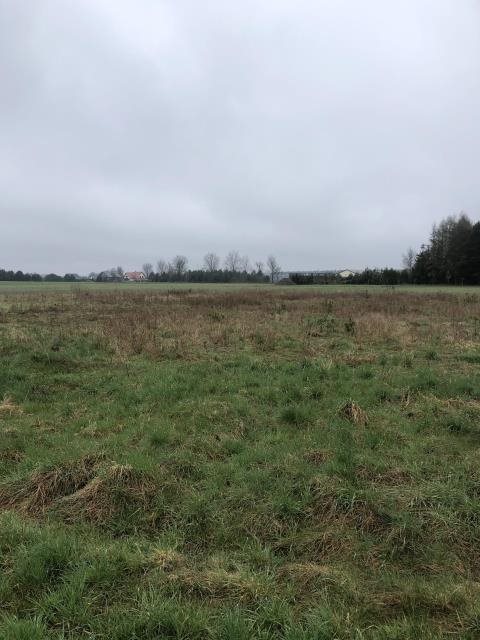 Działka usługowa 33 ar z mediami, plan w drodze Łubniany  3 318m2 Foto 1