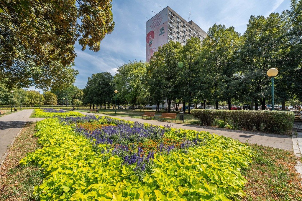 Mieszkanie dwupokojowe na wynajem Warszawa, Śródmieście, Śródmieście Północne, Marszałkowska  39m2 Foto 14