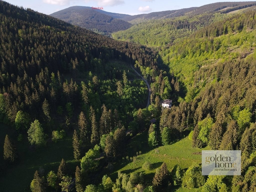 Działka inwestycyjna na sprzedaż Kletno, Śnieżnik Jaskinia Niedźwiedzia  19 400m2 Foto 2