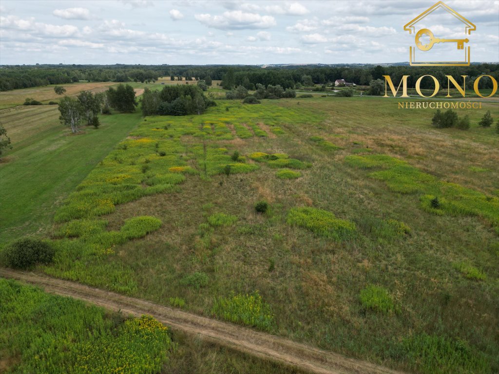 Działka budowlana na sprzedaż Piasek Wielki  26 800m2 Foto 13