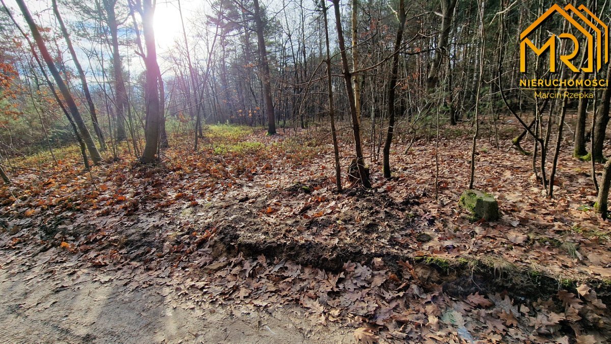 Działka rolna na sprzedaż Stare Żukowice  2 200m2 Foto 4