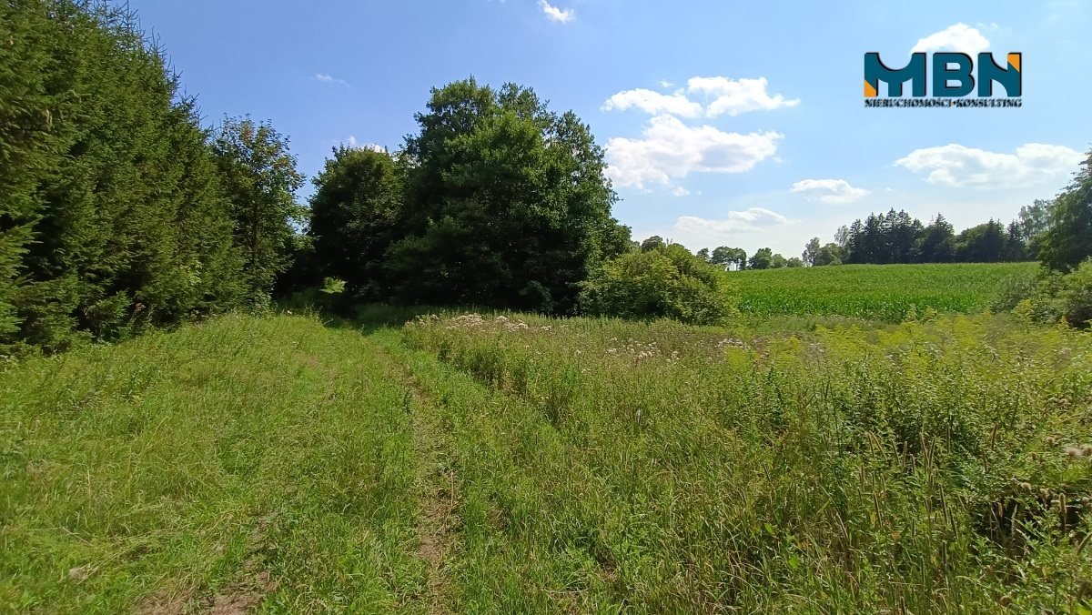 Działka rolna na sprzedaż Pozezdrze, Pieczarki  1 300m2 Foto 15