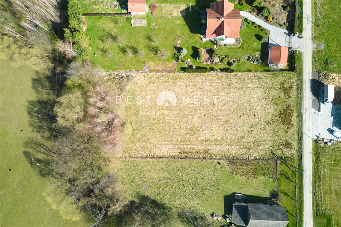 Działka budowlana na sprzedaż Bielowicko  3 233m2 Foto 2