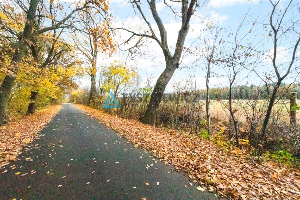 Działka siedliskowa na sprzedaż Szczenurze  3 238m2 Foto 6