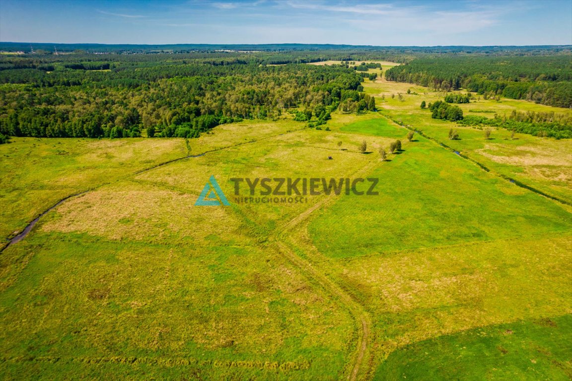 Działka rolna na sprzedaż Poborowo  9 200m2 Foto 6