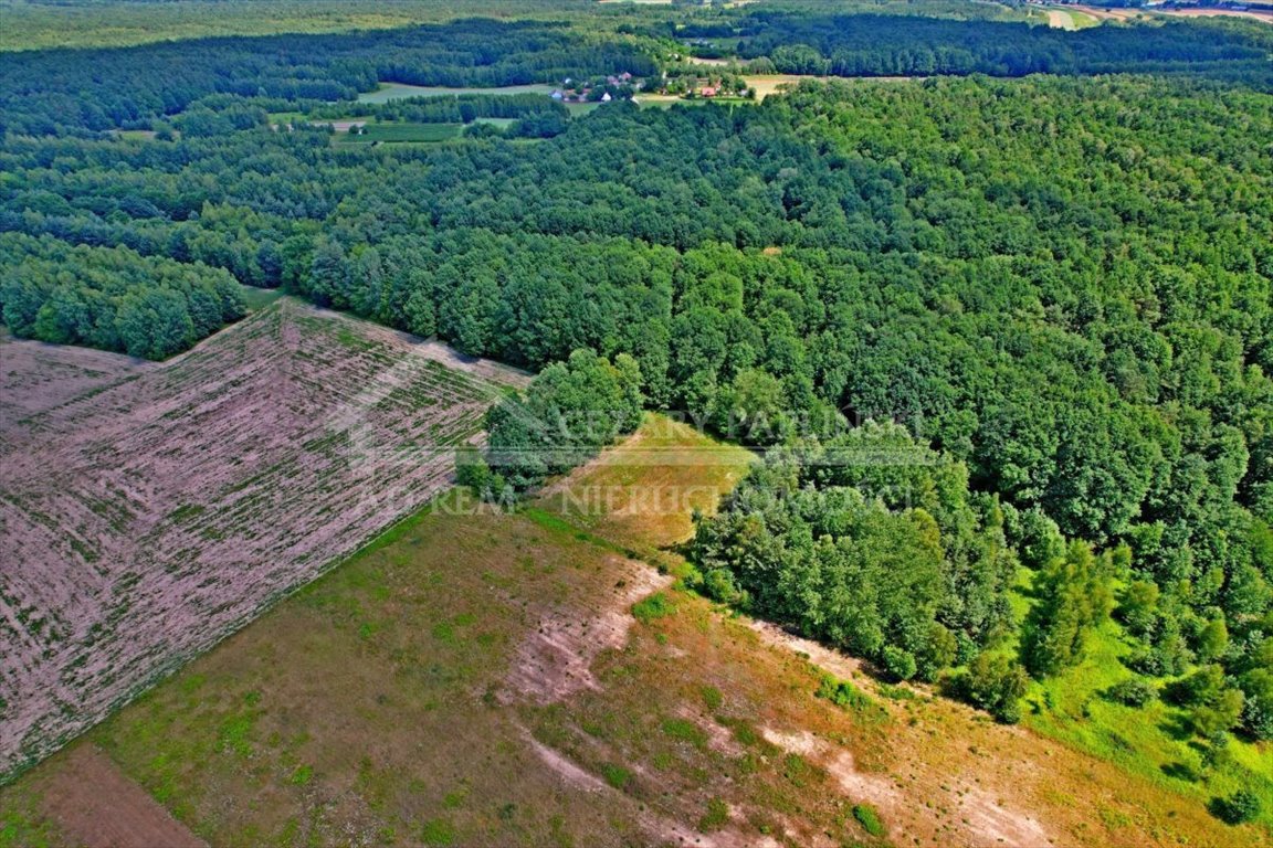 Działka rekreacyjna na sprzedaż Uściąż, Uściąż  4 986m2 Foto 3