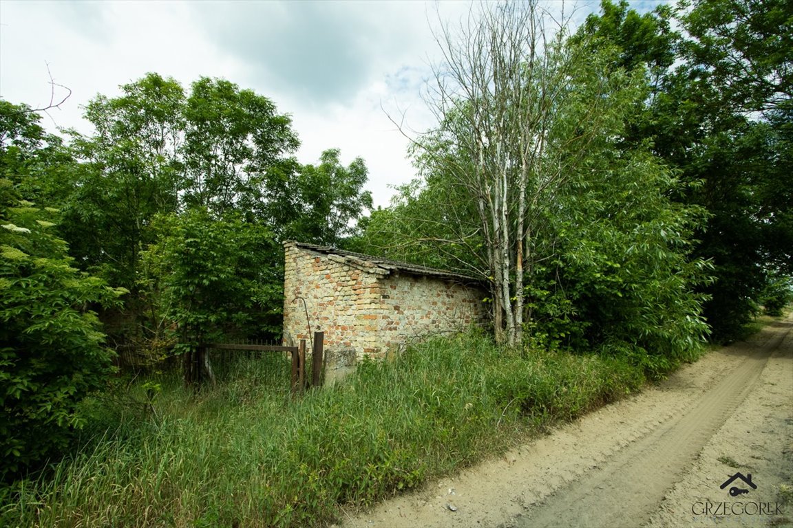 Działka rolna na sprzedaż Downary  1 600m2 Foto 6