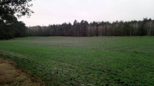 Działka leśna na sprzedaż Paulinów  149 300m2 Foto 1