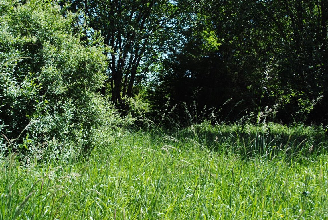 Działka budowlana na sprzedaż Kolbudy, Słonecznikowa  3 348m2 Foto 10