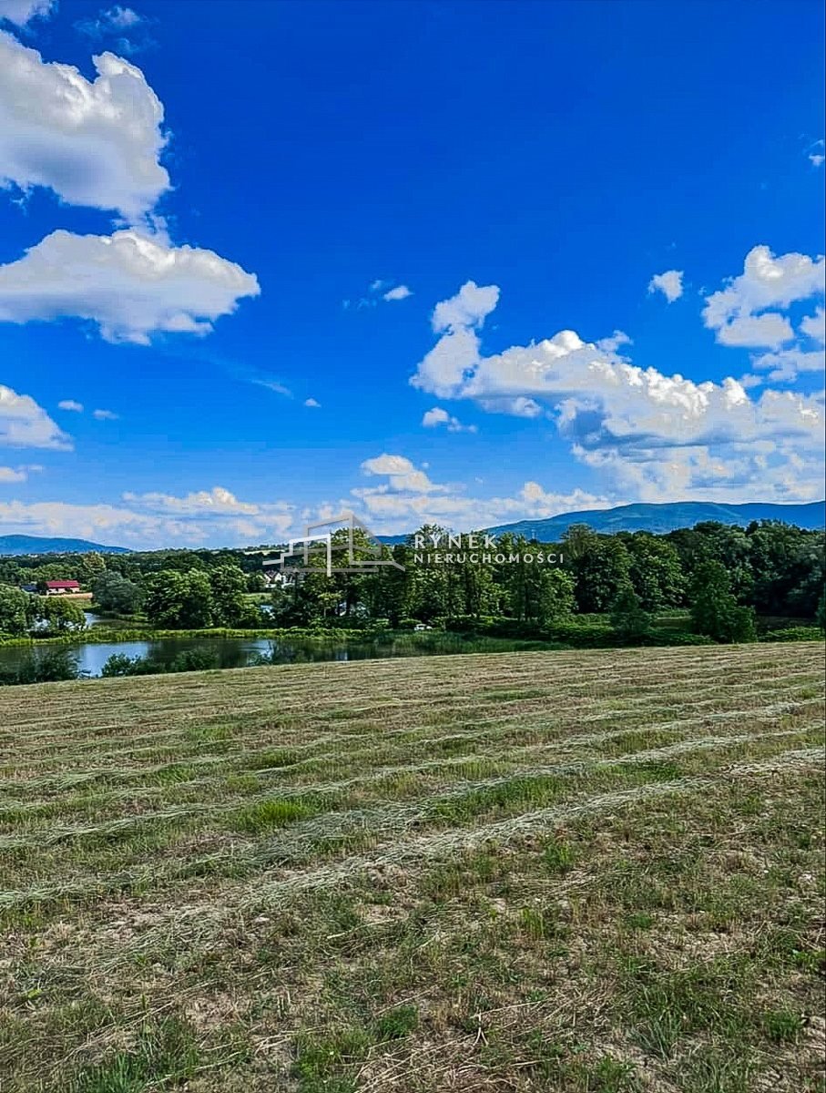 Działka inna na sprzedaż Międzyrzecze Dolne  3 030m2 Foto 6