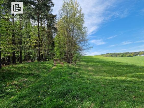 Działka budowlana na sprzedaż Kaplica  1 000m2 Foto 1