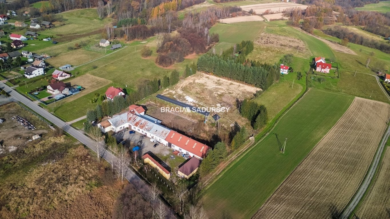 Lokal użytkowy na sprzedaż Leńcze, Leńcze, Leńcze  1 591m2 Foto 3