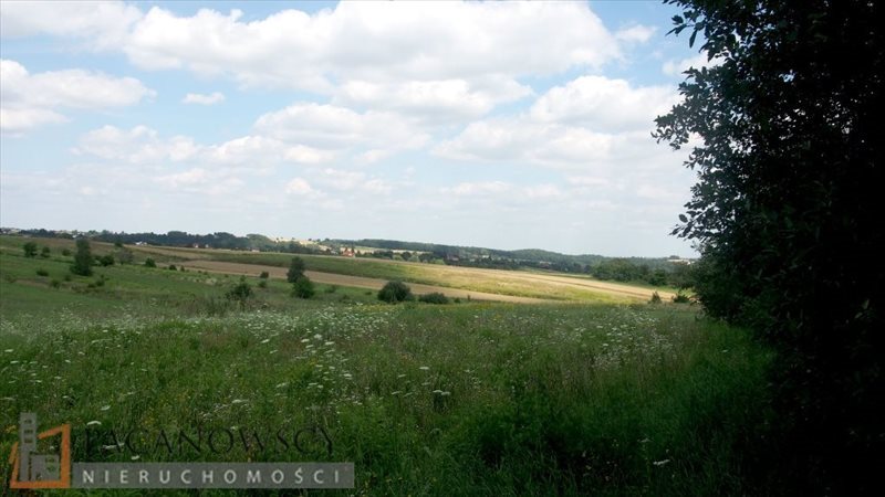 Działka rolna na sprzedaż Brzozówka Korzkiewska  7 500m2 Foto 4