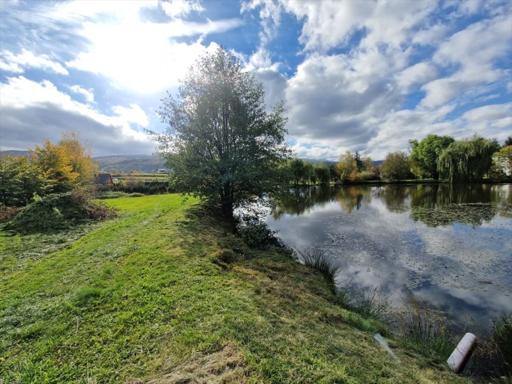 Działka przemysłowo-handlowa na sprzedaż Sosnówka, Jeleniogórska  6 442m2 Foto 1