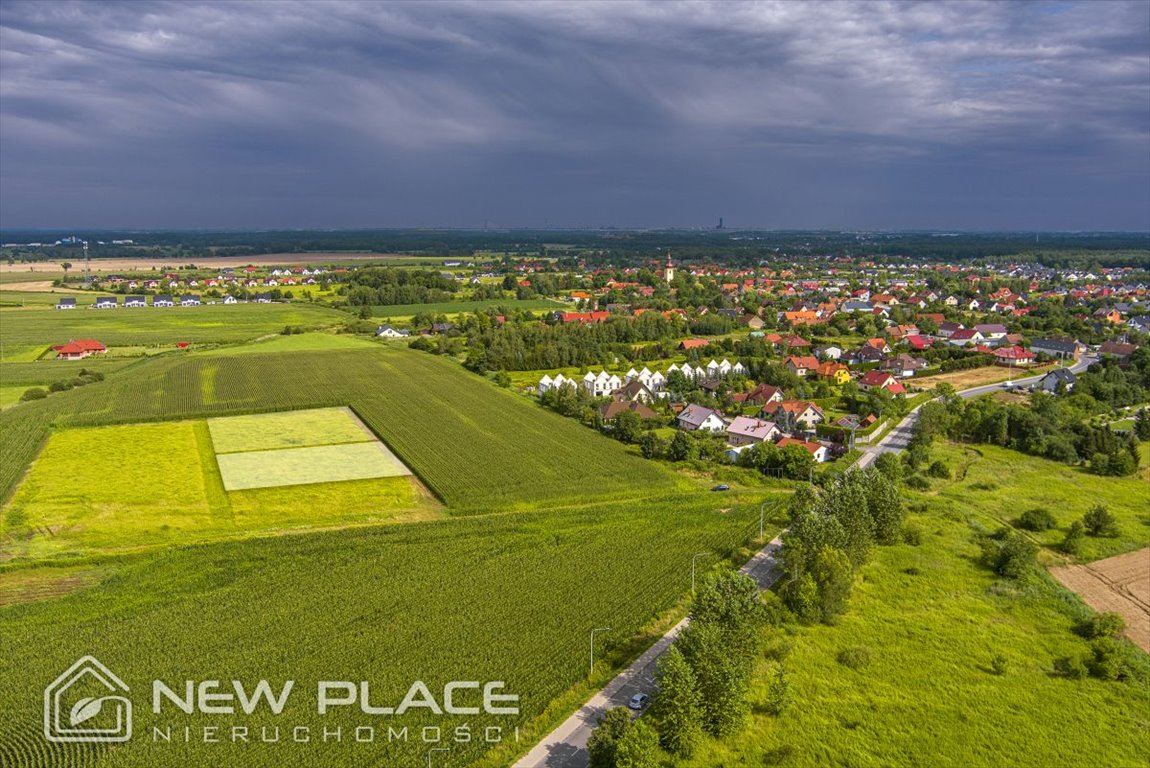 Działka inwestycyjna na sprzedaż Wilkszyn  3 000m2 Foto 3