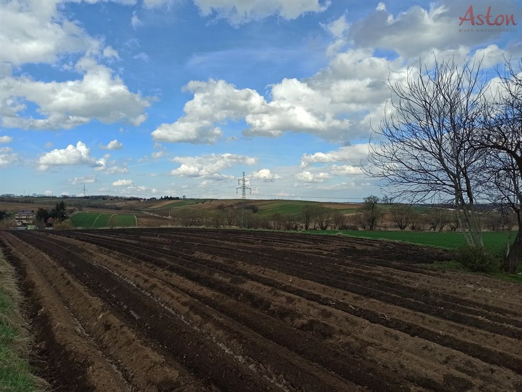 Działka budowlana na sprzedaż Krzysztoforzyce  5 700m2 Foto 2