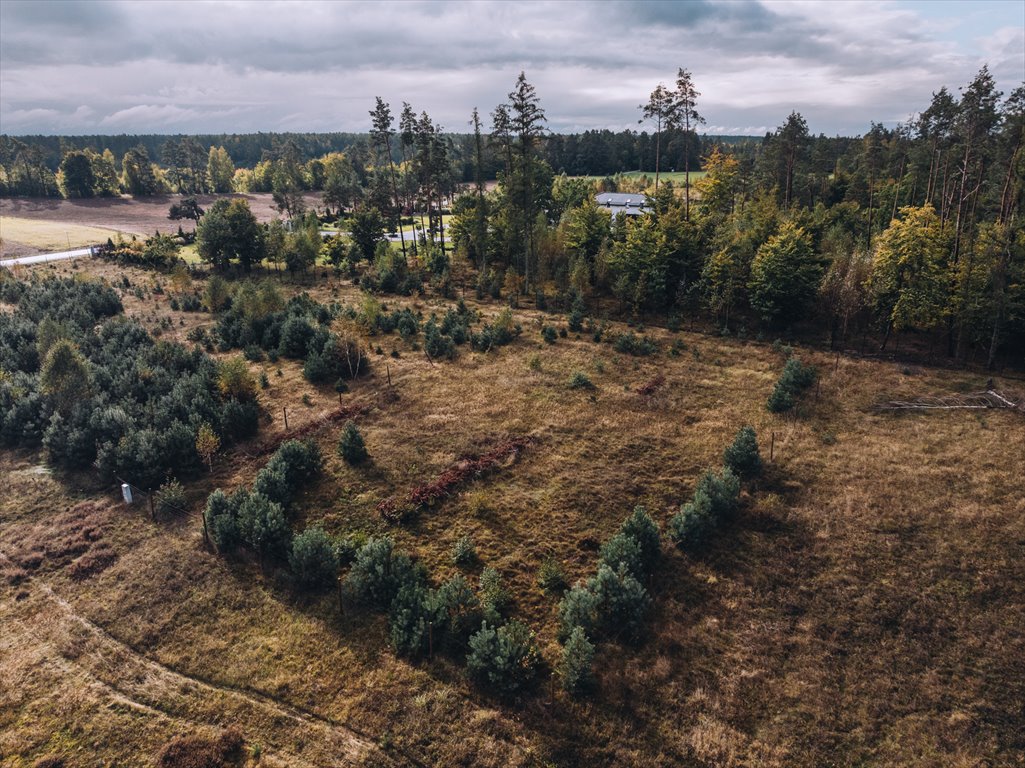 Działka budowlana na sprzedaż Sulęczyno  1 400m2 Foto 3