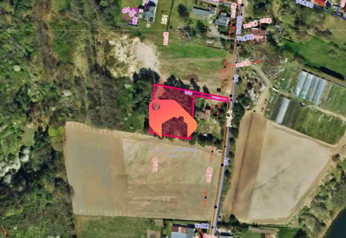 Działka rolna na sprzedaż Tryszczyn  2 900m2 Foto 1