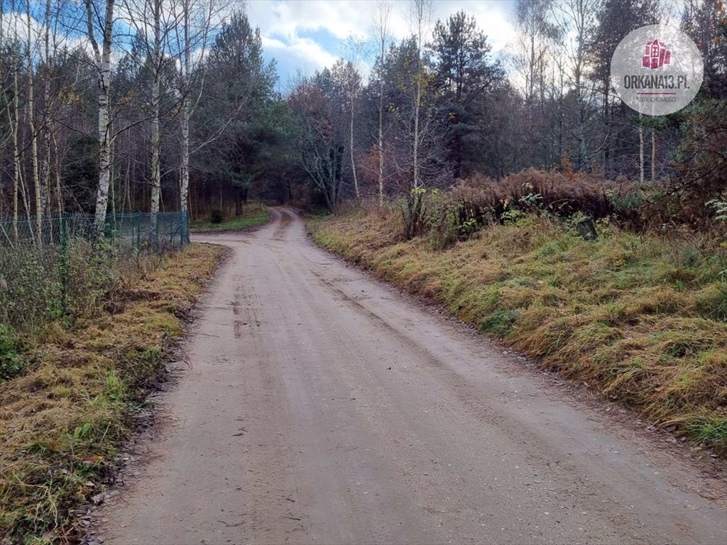 Działka rolna na sprzedaż Stękiny, Stękiny  18 707m2 Foto 6