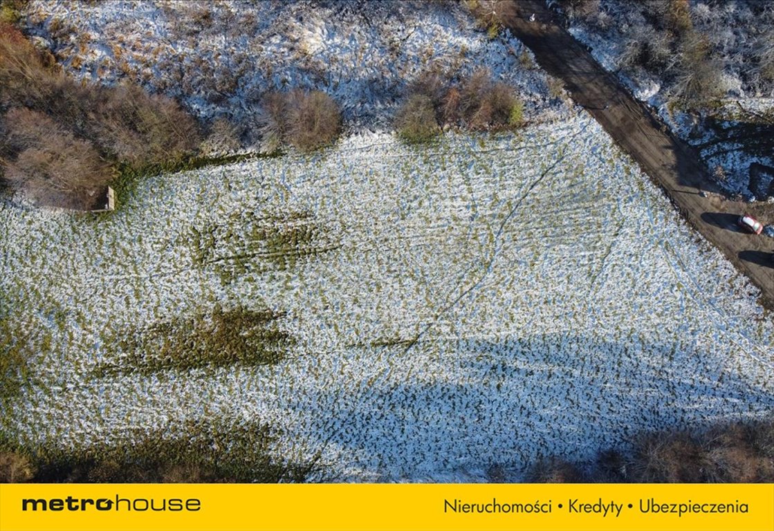 Działka rolna na sprzedaż Zabór  2 962m2 Foto 6