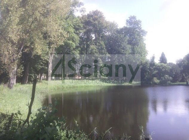 Działka budowlana na sprzedaż Wierzchowisko  4 000m2 Foto 1